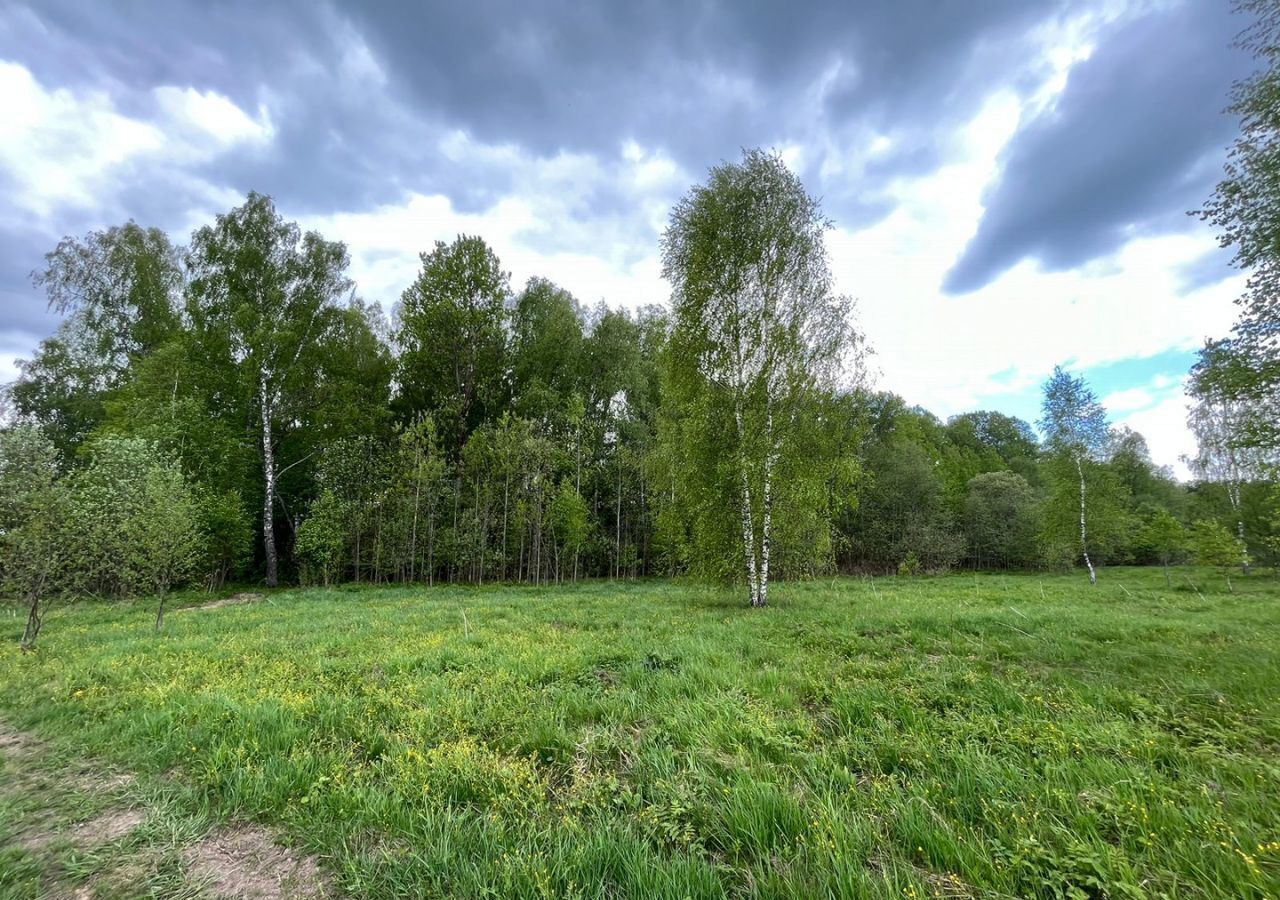 земля городской округ Наро-Фоминский г Верея 92 км, д. Каменка, Минское шоссе фото 6