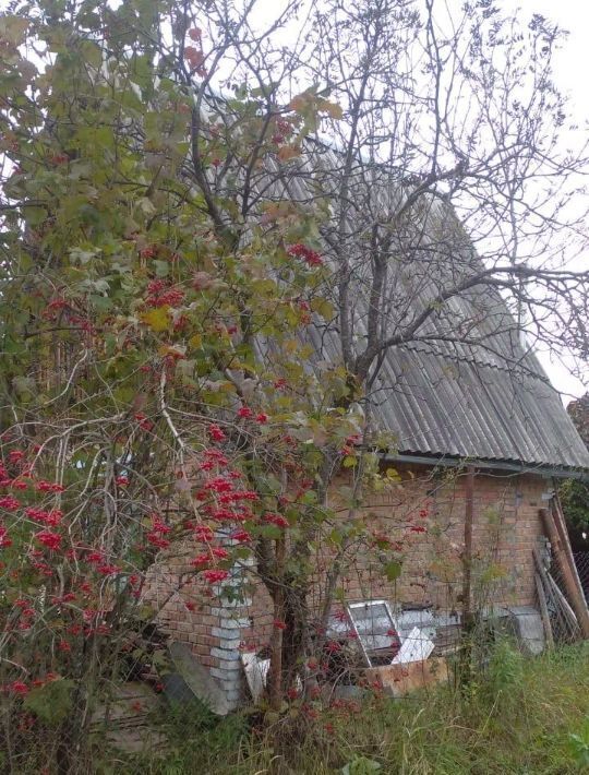 дом р-н Новосибирский снт Ключи-1 Барышевский сельсовет фото 8