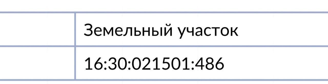 земля р-н Нижнекамский с Борок ул Рябиновая 26 Каенлинское сельское поселение, Нижнекамск фото 4