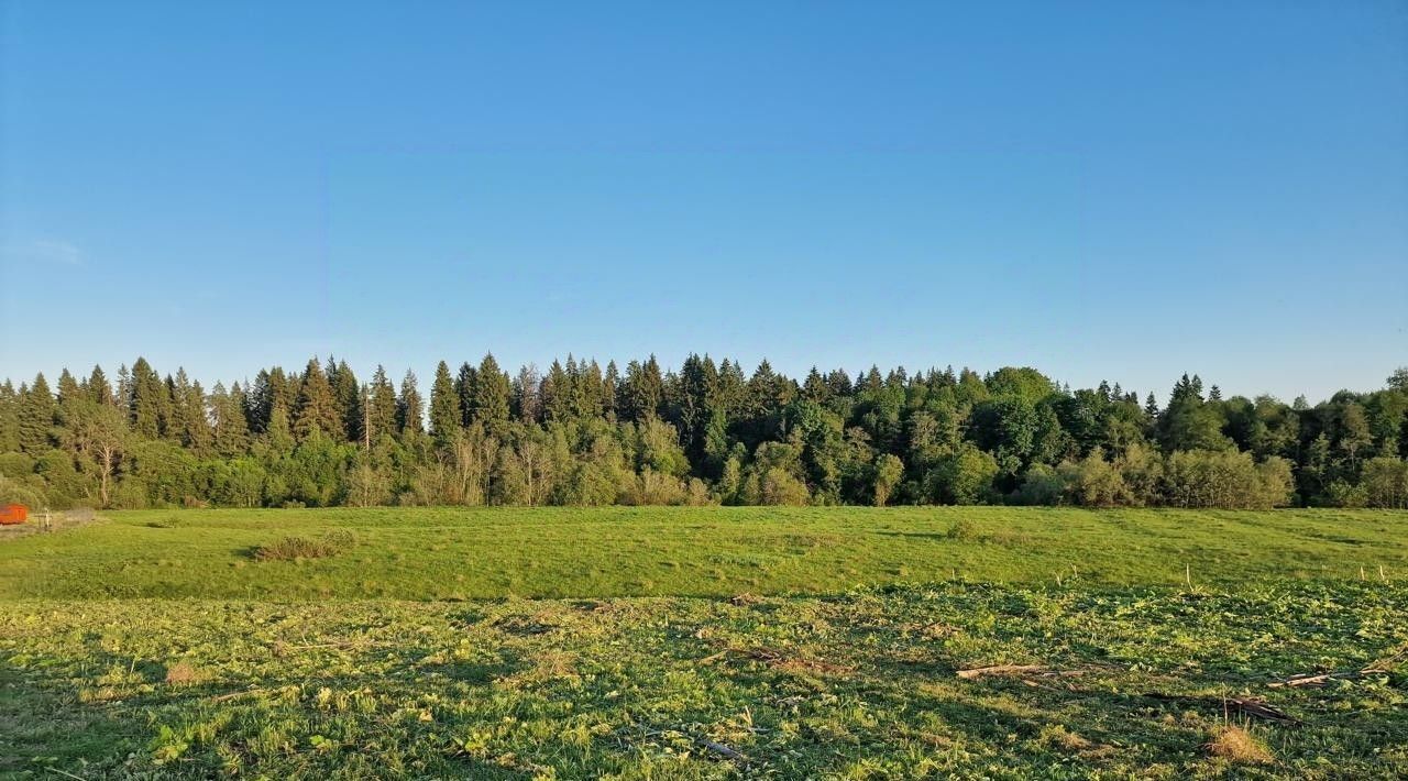 земля городской округ Можайский с. ДНП Старое фото 1