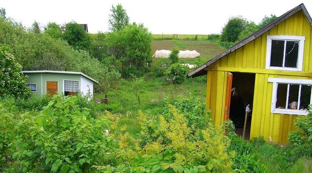 снт Биоприбор Серпухов городской округ фото