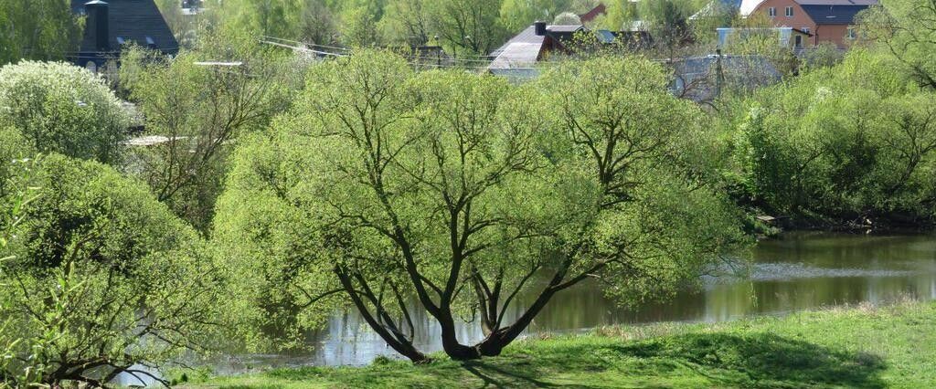 комната городской округ Щёлково Кожинский проезд, 18 фото 16