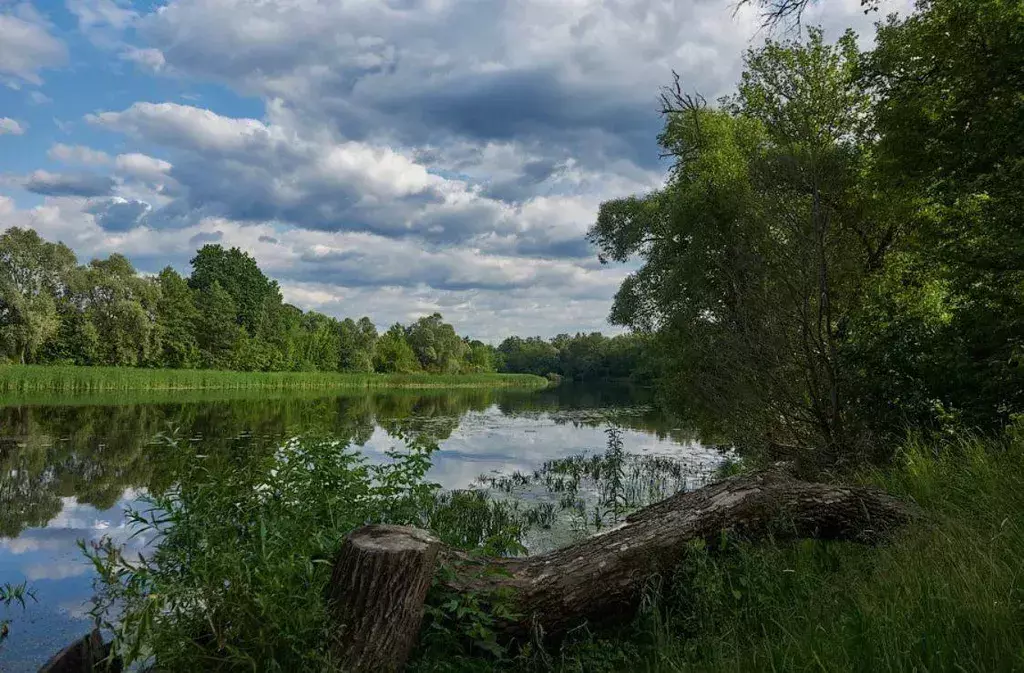 квартира р-н Рамонский рп Рамонь ул Победы 17е Воронеж фото 14