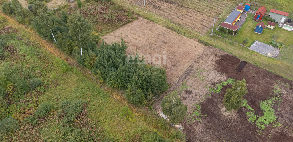 земля г Тюмень снт Светлое фото 6