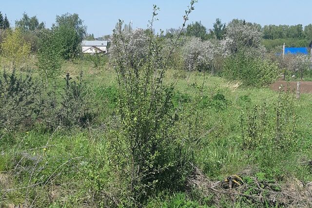 городской округ Нижний Новгород, Новинки фото