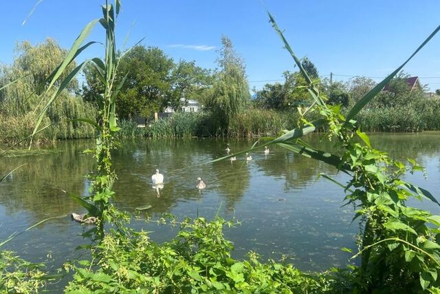 дом г Кореновск ул Кооперативная 24 Кореновское городское поселение фото