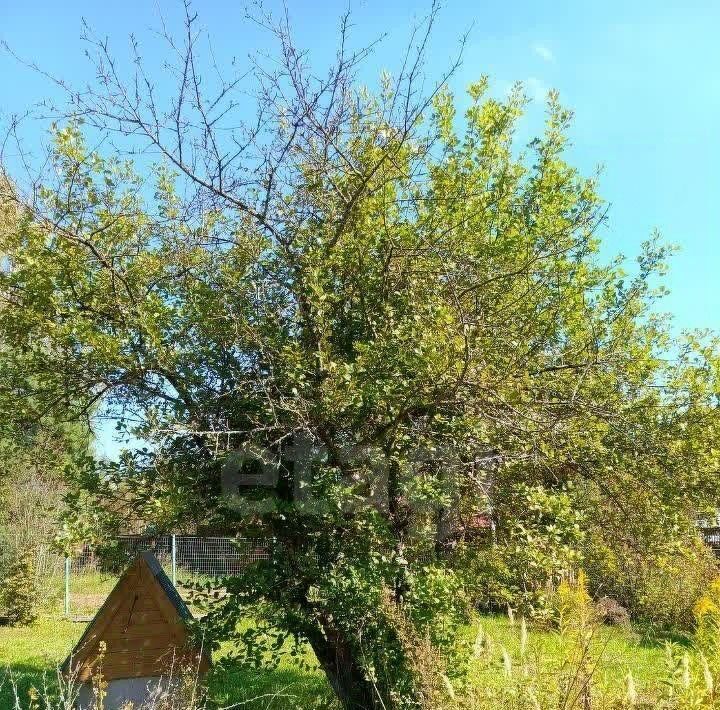 земля г Истра Дарьин Луг садовое товарищество, 5 фото 3