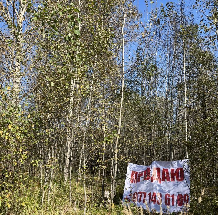 земля городской округ Серпухов д Ивантиново фото 3