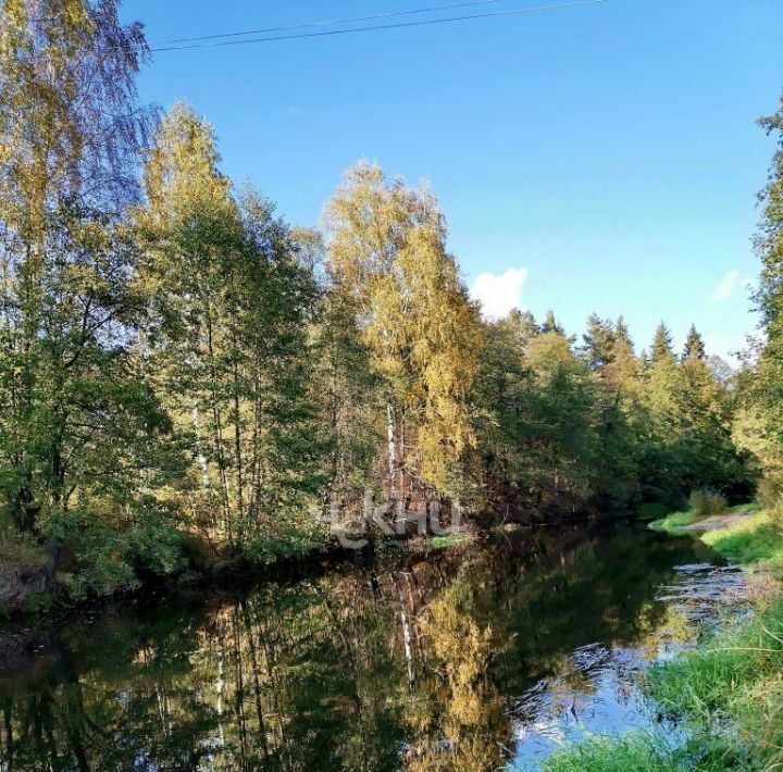 дом г Семенов д Зуево 55, Бор городской округ фото 30