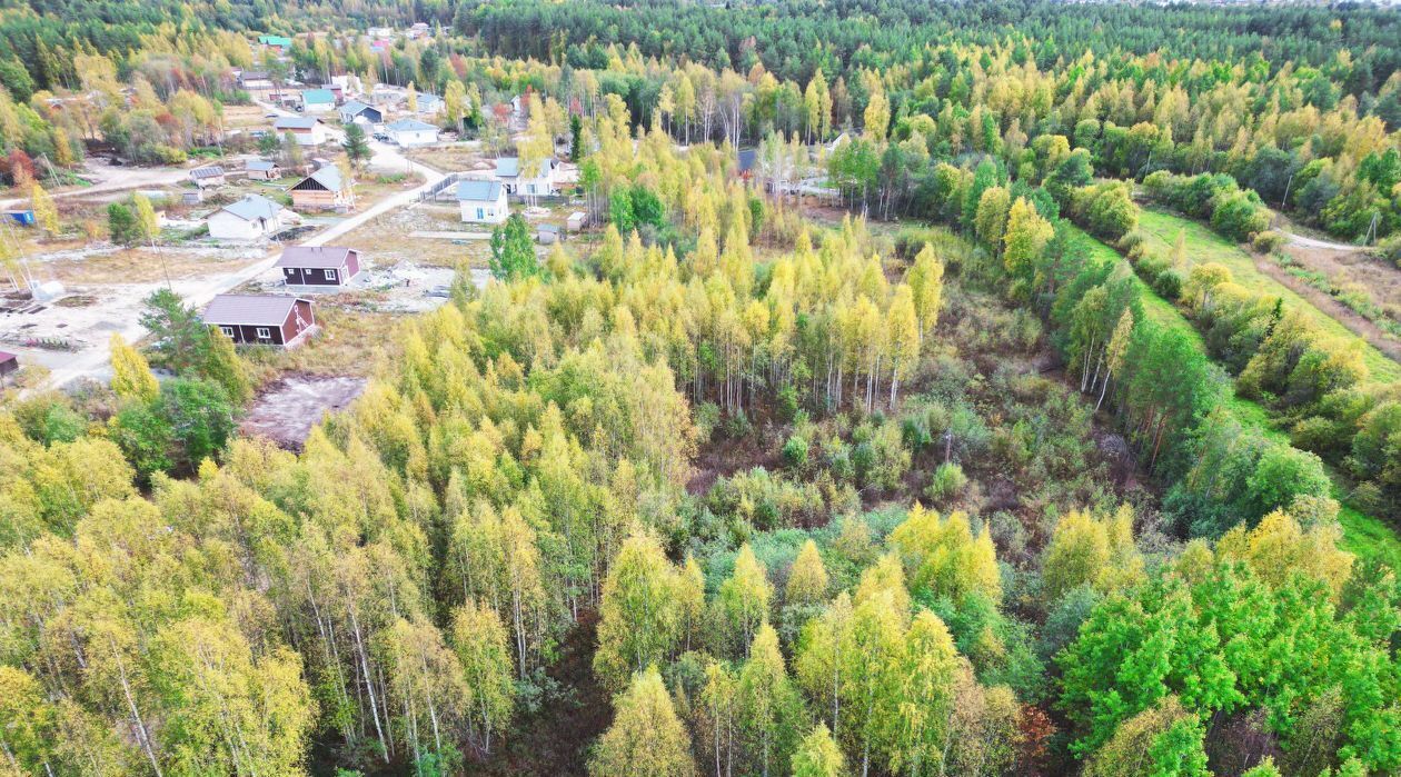 земля р-н Прионежский с Заозерье ул Новоручейная Заозерское сельское поселение фото 10