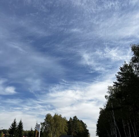 д Канищево снт Медовый Топаз фото