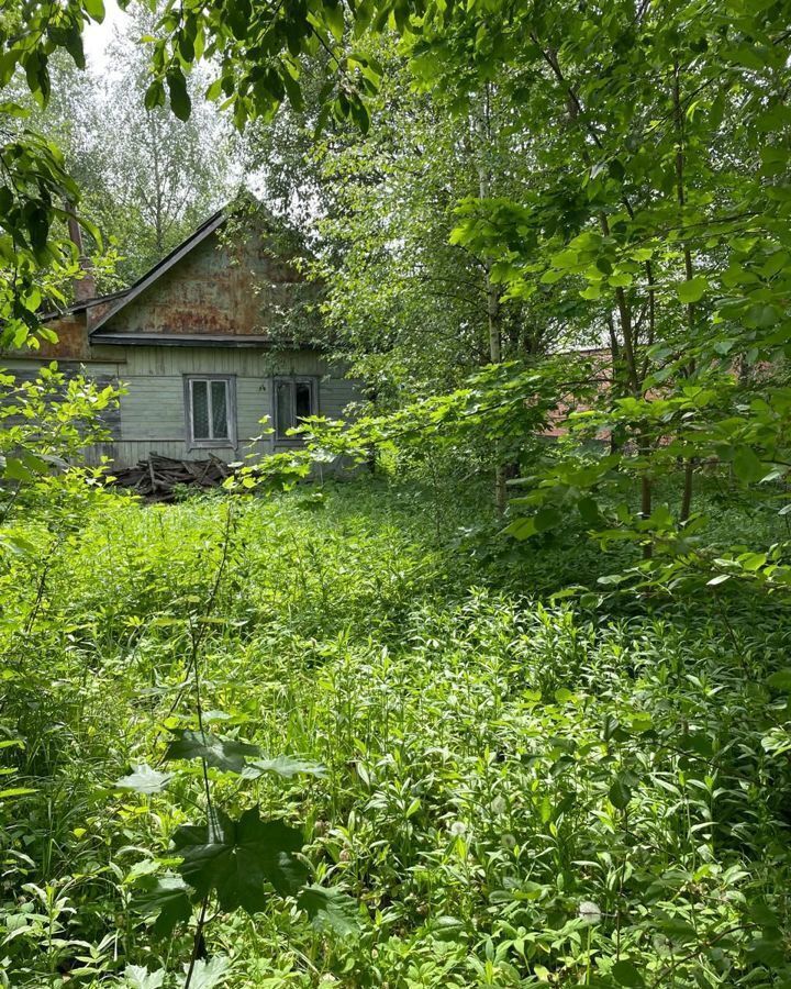 земля направление Киевское (юго-запад) ш Киевское 9745 км, Новомосковский административный округ, 7Б, Москва, п Марушкинское, д. Большое Свинорье, Кокошкино, поселение Марушкинское фото 5