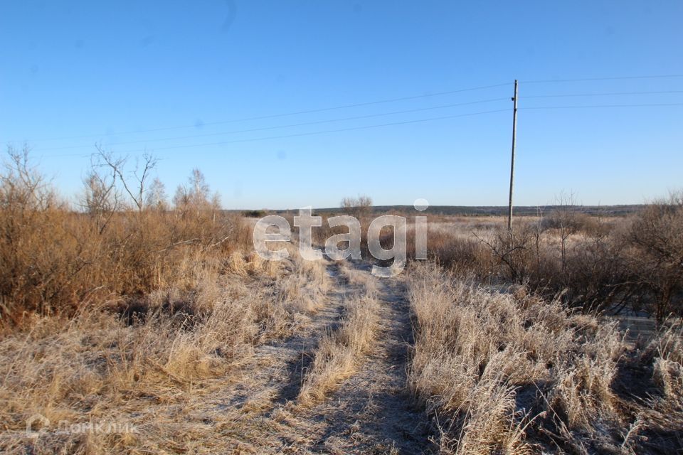 земля р-н Тугулымский фото 2