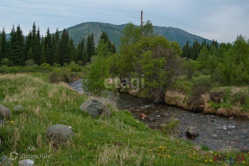 земля р-н Шебалинский село Топучая фото 1