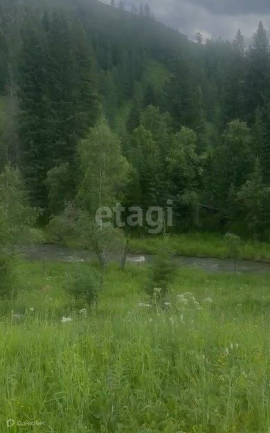 земля р-н Шебалинский село Топучая фото 2