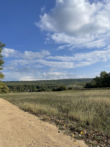 р-н Майкопский Краснооктябрьское с/п фото