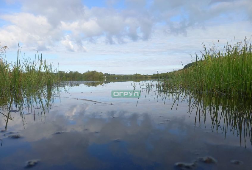 земля р-н Городищенский г Городище фото 2