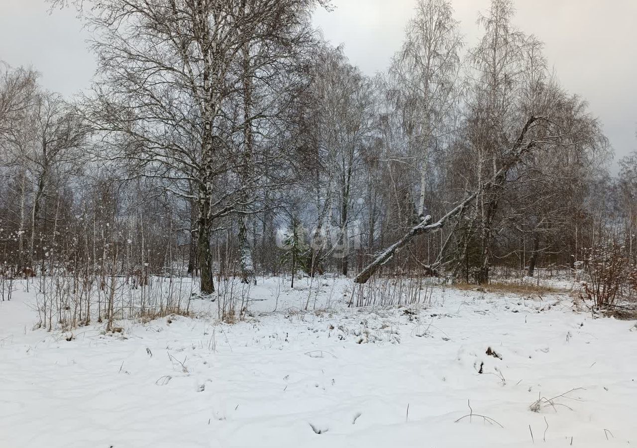 земля р-н Нижнетавдинский Ключевское сельское поселение, Каскара фото 7