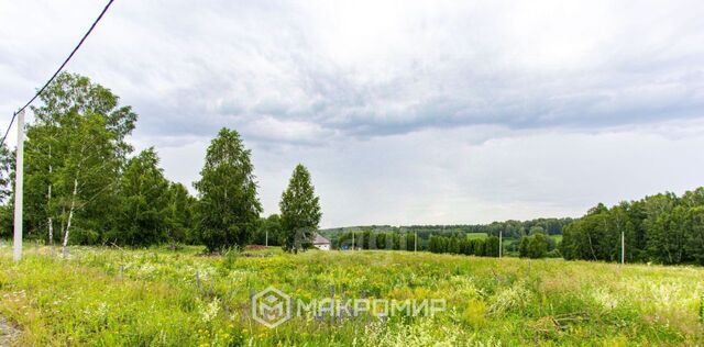 с Гусиный Брод Раздольненский сельсовет, Идиллия мкр, Золотая Нива, 90 фото