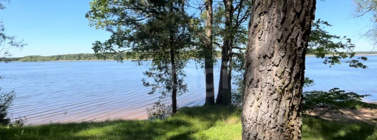 земля городской округ Солнечногорск 9770 км, коттеджный пос. Похлебайки-парк, Пятницкое шоссе фото 5