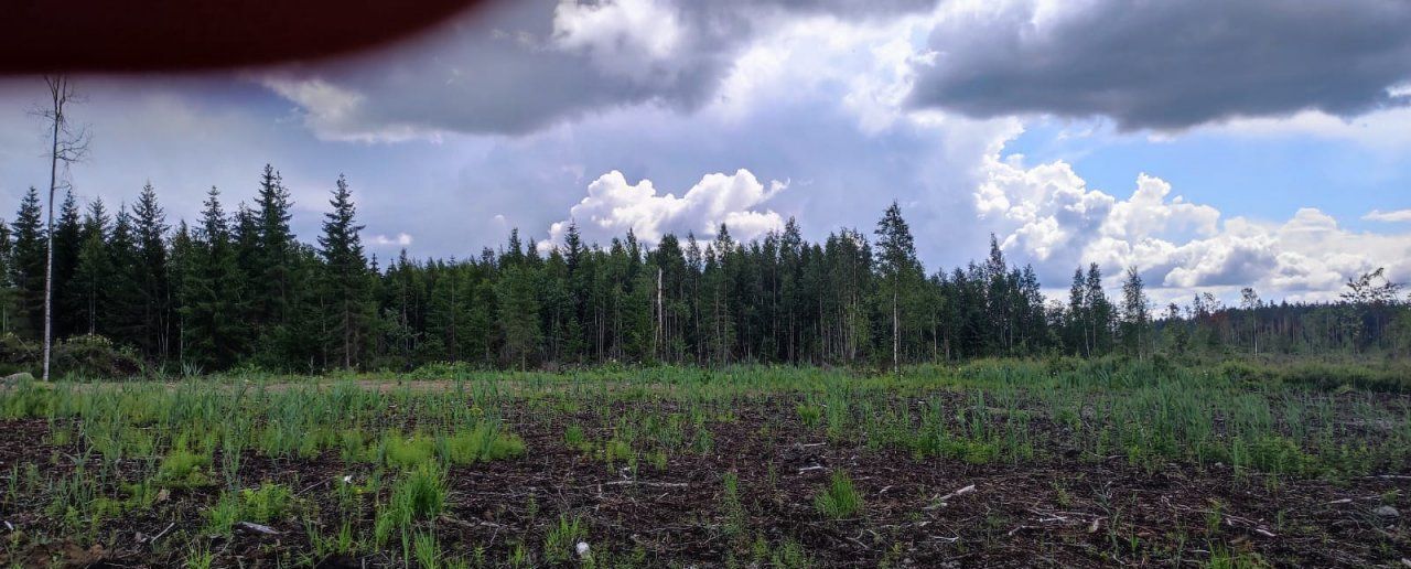 земля р-н Всеволожский снт тер.У Лукоморья Приозерское шоссе, 9751 км, Агалатовское сельское поселение, Васкелово фото 2