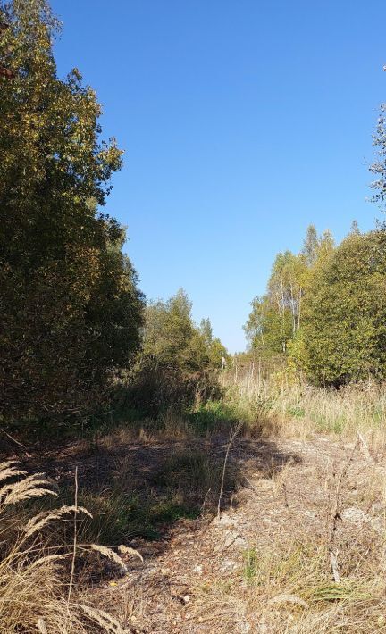 земля г Домодедово снт Лесная даль Коломна городской округ фото 3