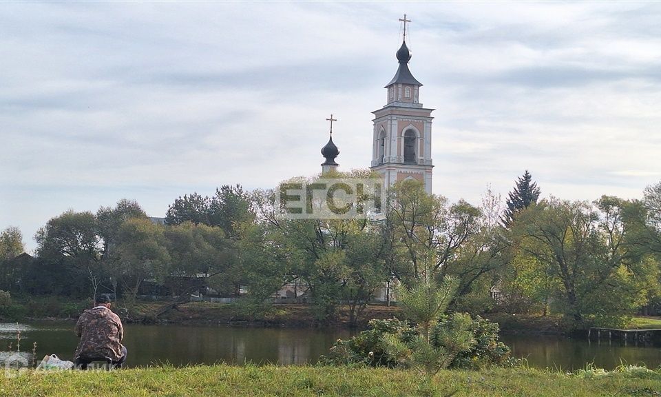 земля городской округ Ступино п Вельяминово Запрудная улица, городской округ Домодедово фото 7