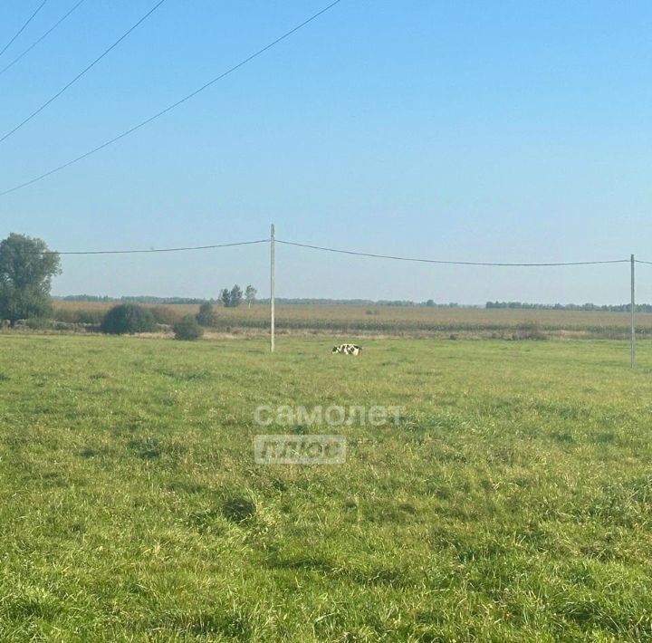 земля городской округ Волоколамский д Шишково ул Луговая фото 4