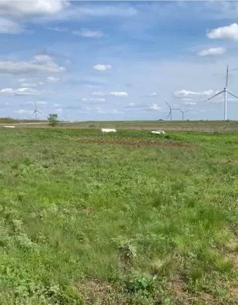 земля р-н Красносулинский х Божковка Божковское сельское поселение, Каменск-Шахтинский фото 1