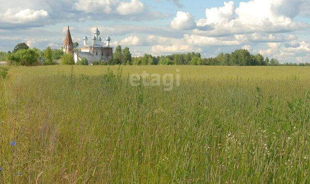 ул Первомайская фото