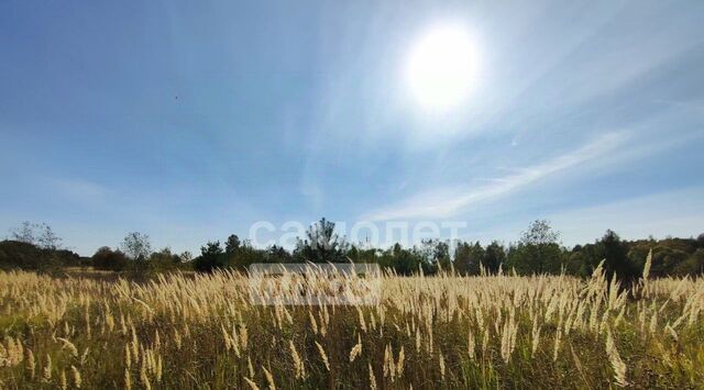 земля с Ильинское ул Юбилейная сельское поселение Село Ильинское фото