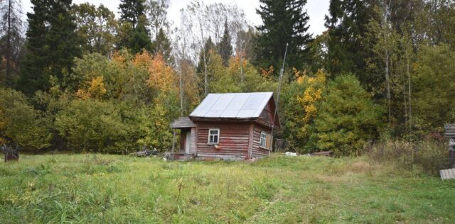 д Авдотьино снт Авдотьино-1 Раздольевское муниципальное образование, 75 фото