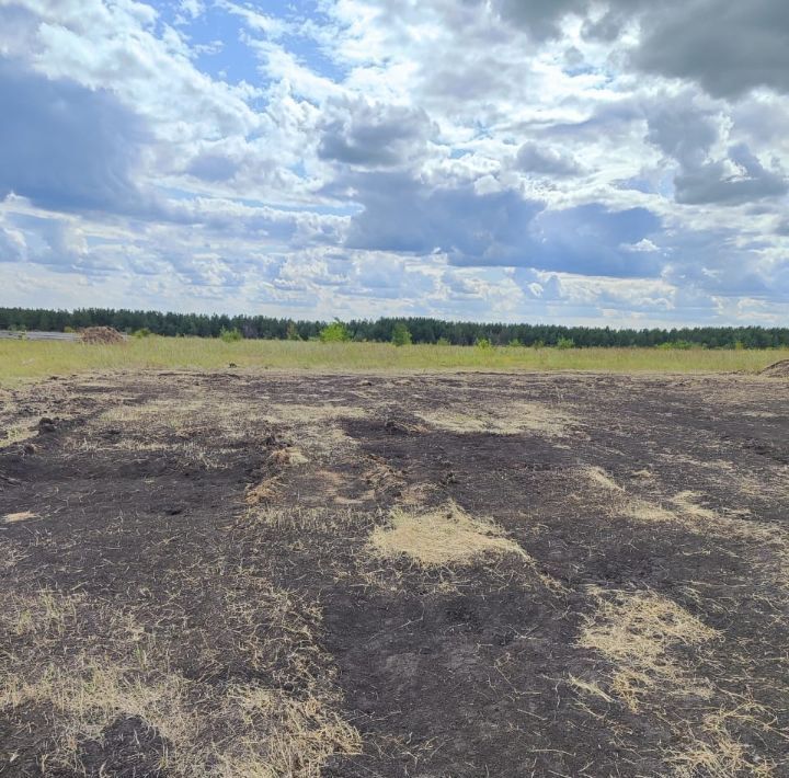 земля г Саратов р-н Волжский пр-д 3-й Малахитовый фото 1