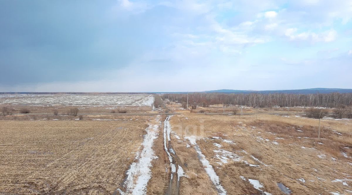 земля р-н Хабаровский с Дружба Дружбинское сельское поселение фото 3