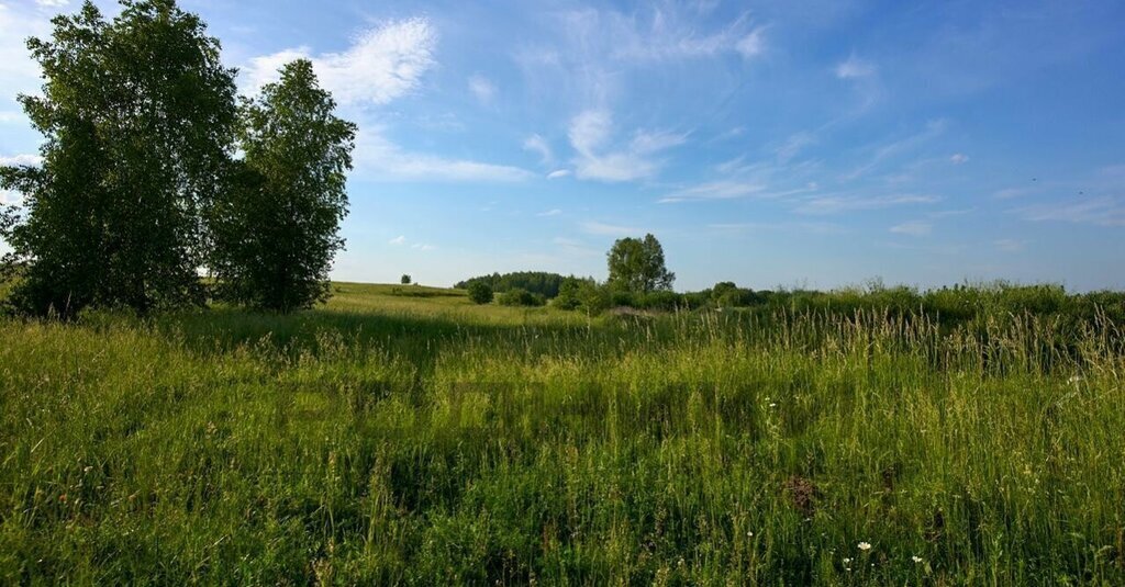 дом р-н Гурьевский п Родники фото 5