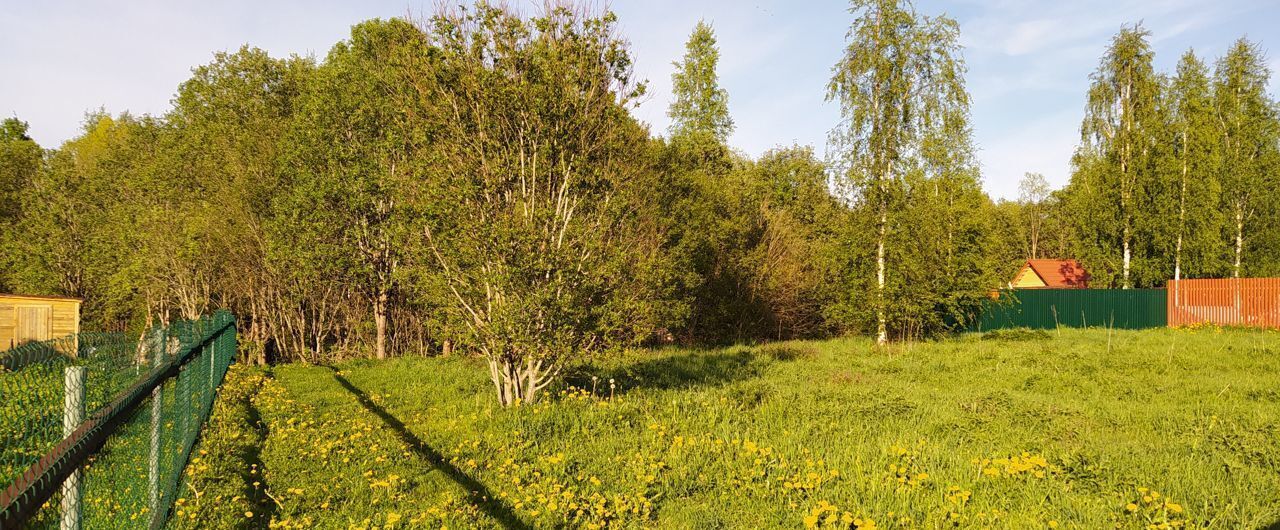 земля р-н Киришский д Березняк ул Ветеранов 75 Трасса Лодейное Поле — Тихвин, 9844 км, Пчёвжинское сельское поселение, Будогощь фото 3