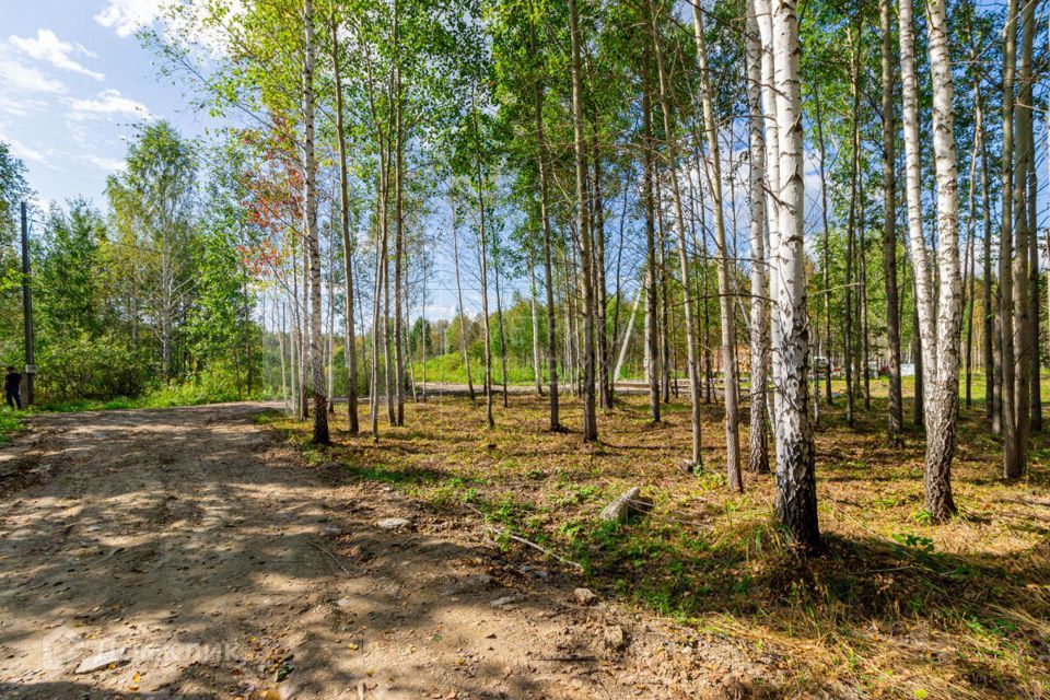 земля р-н Нижнетавдинский фото 2