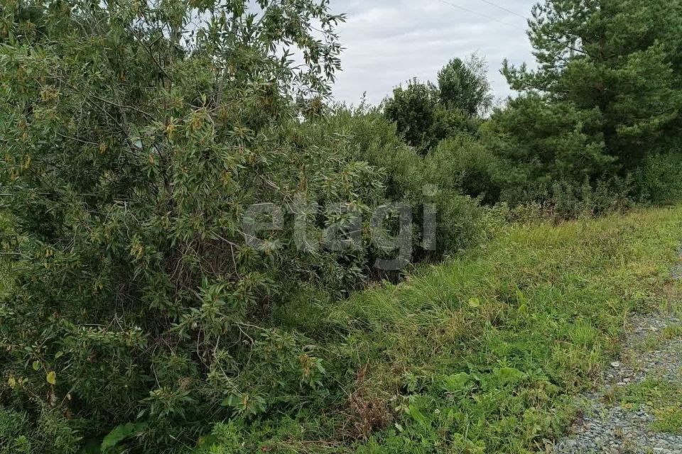 земля Алапаевское, муниципальное образование, посёлок Заря, Садовая улица фото 3