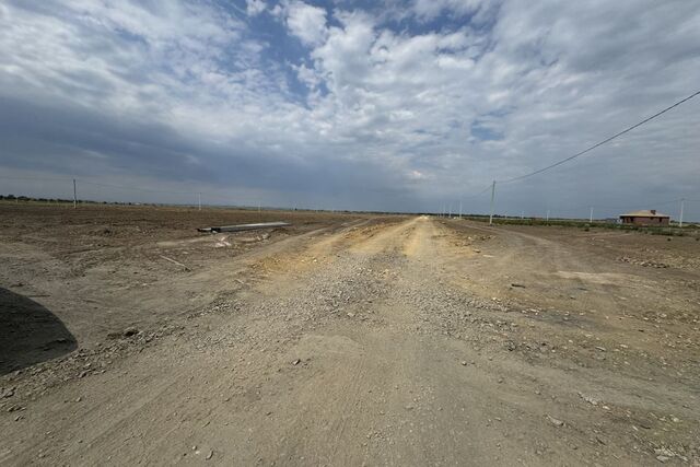 земля станица Ольгинская фото