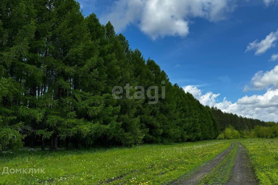 земля р-н Стерлитамакский село Кармаскалы фото 10