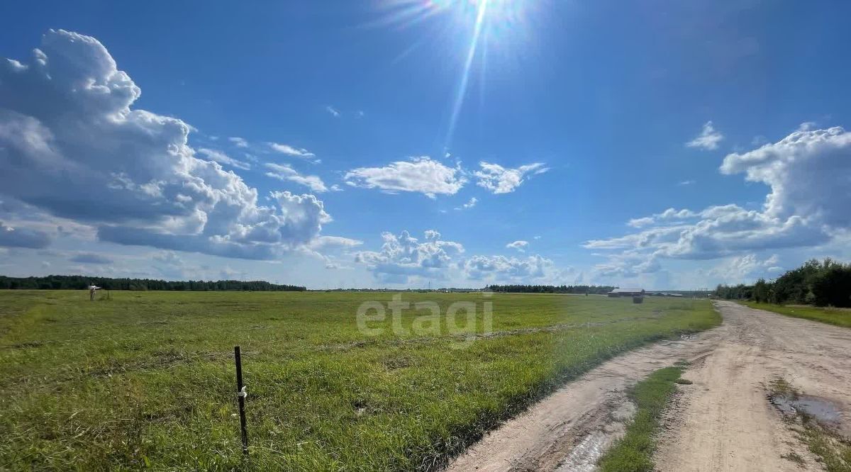 земля р-н Кстовский д Красногорка (Чернухинский с/с) фото 3