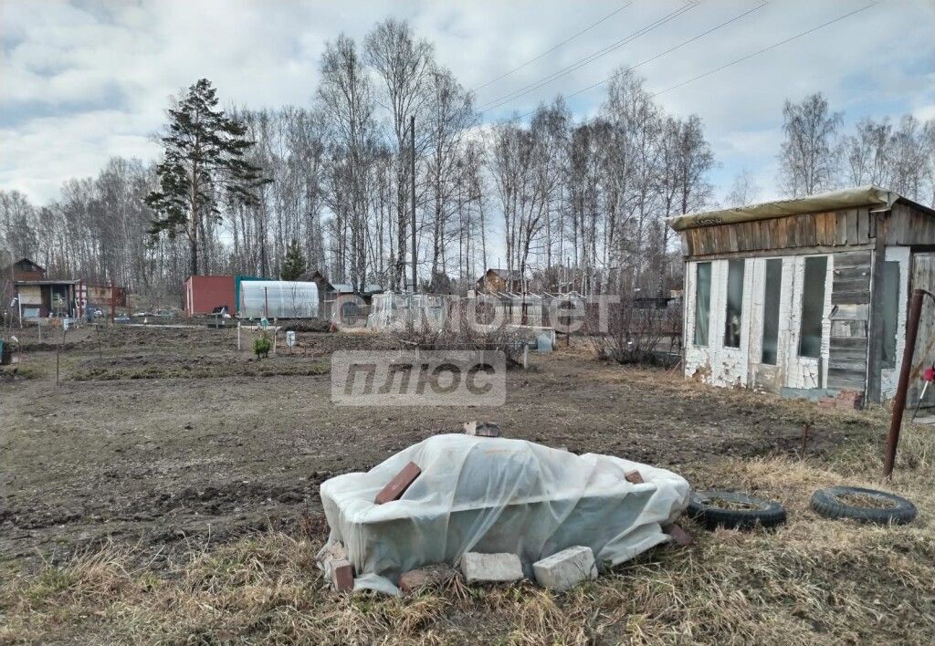 земля р-н Новосибирский снт Вера Барышевский сельсовет, 556, Новосибирск фото 4