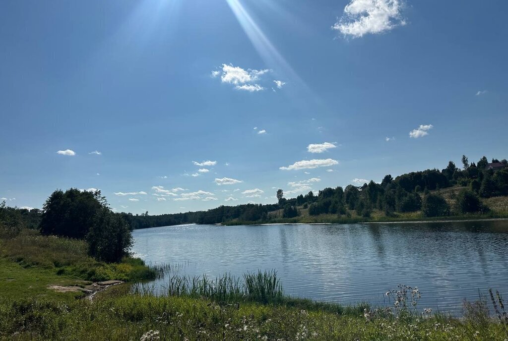 земля городской округ Клин д Вертково фото 15