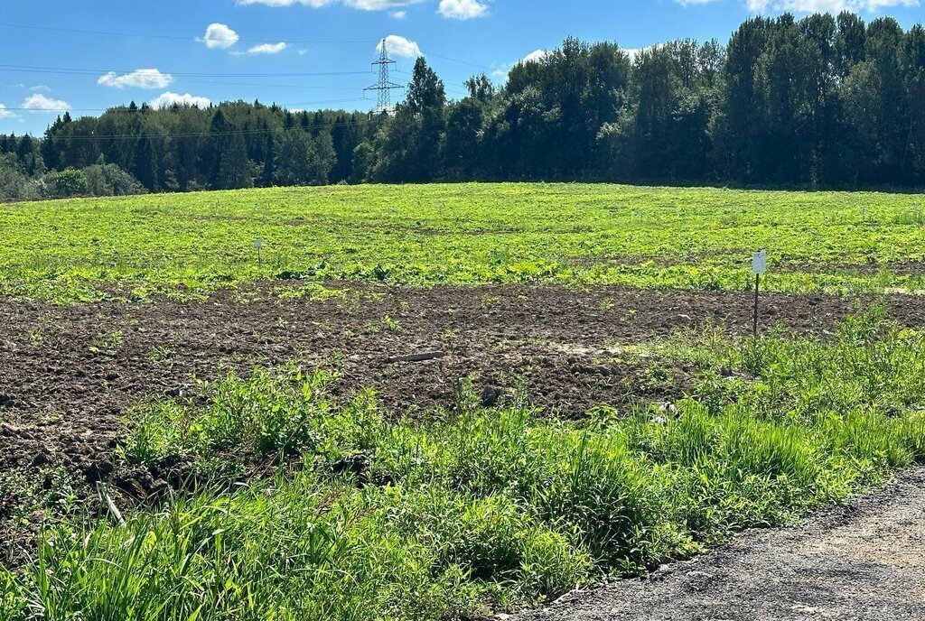 земля городской округ Дмитровский коттеджный поселок «Сорочаны» городской округ Клин фото 21