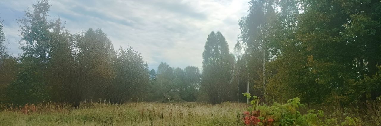 земля г Семенов д Совинское фото 1