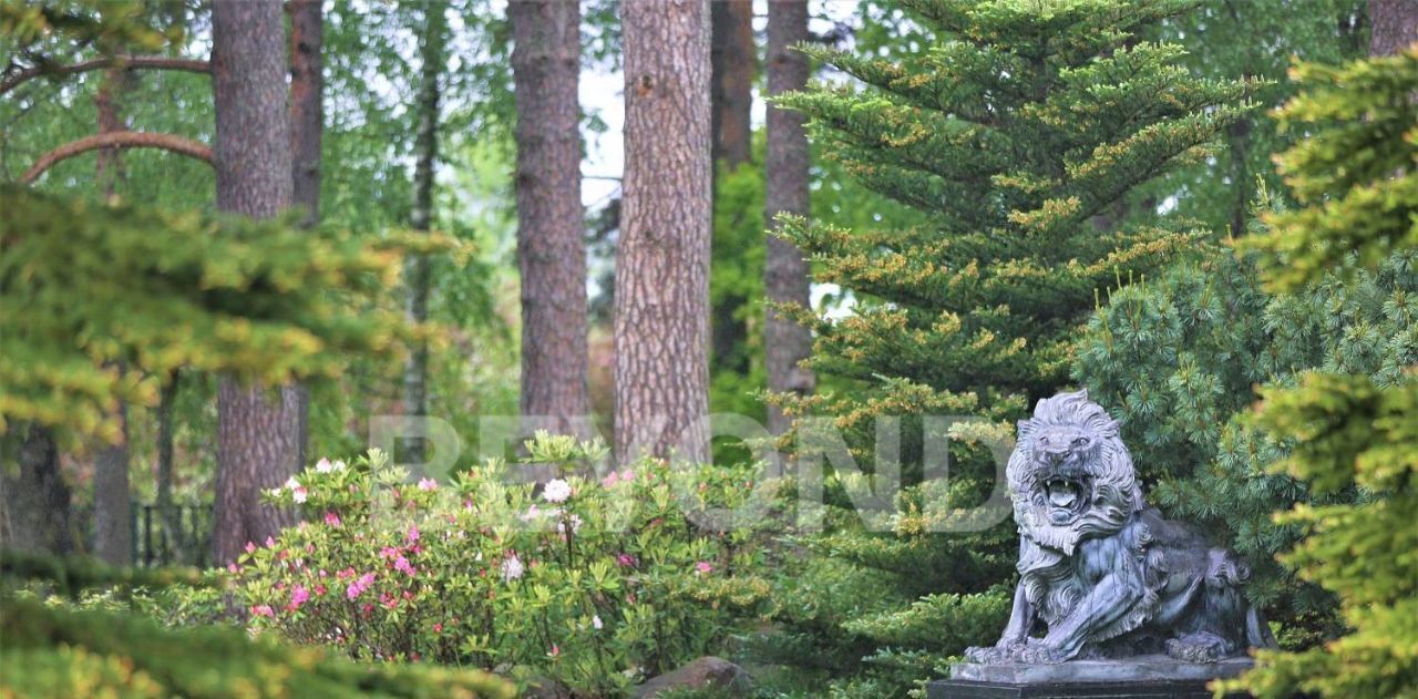 дом р-н Выборгский п Ландышевка Советское городское поселение, Беговая фото 33