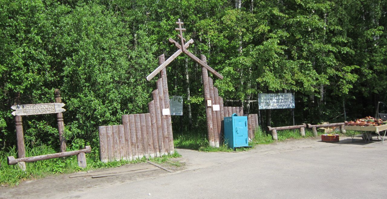 земля р-н Городецкий д Петухово (Федуринский с/с) Чкаловск фото 7