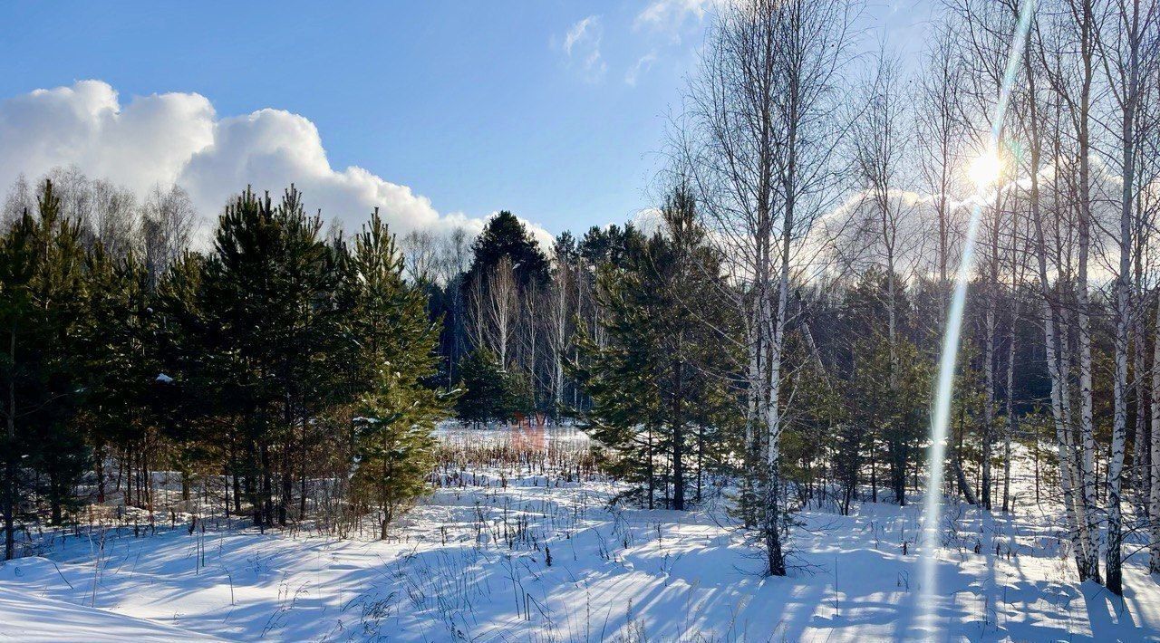 земля р-н Тюменский с Салаирка фото 7