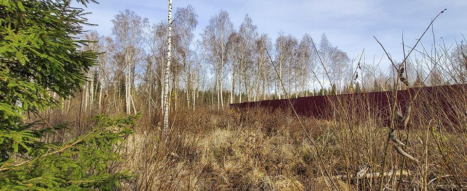 земля городской округ Дмитровский территория объединения Ново-Карцево фото 1