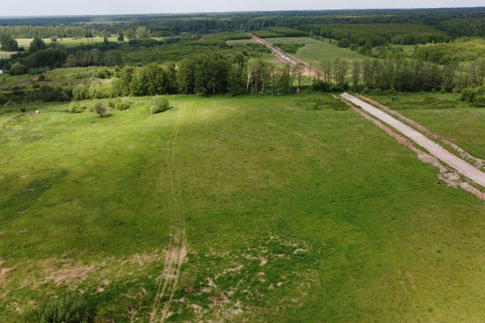 земля городской округ Раменский деревня Васильево фото 4